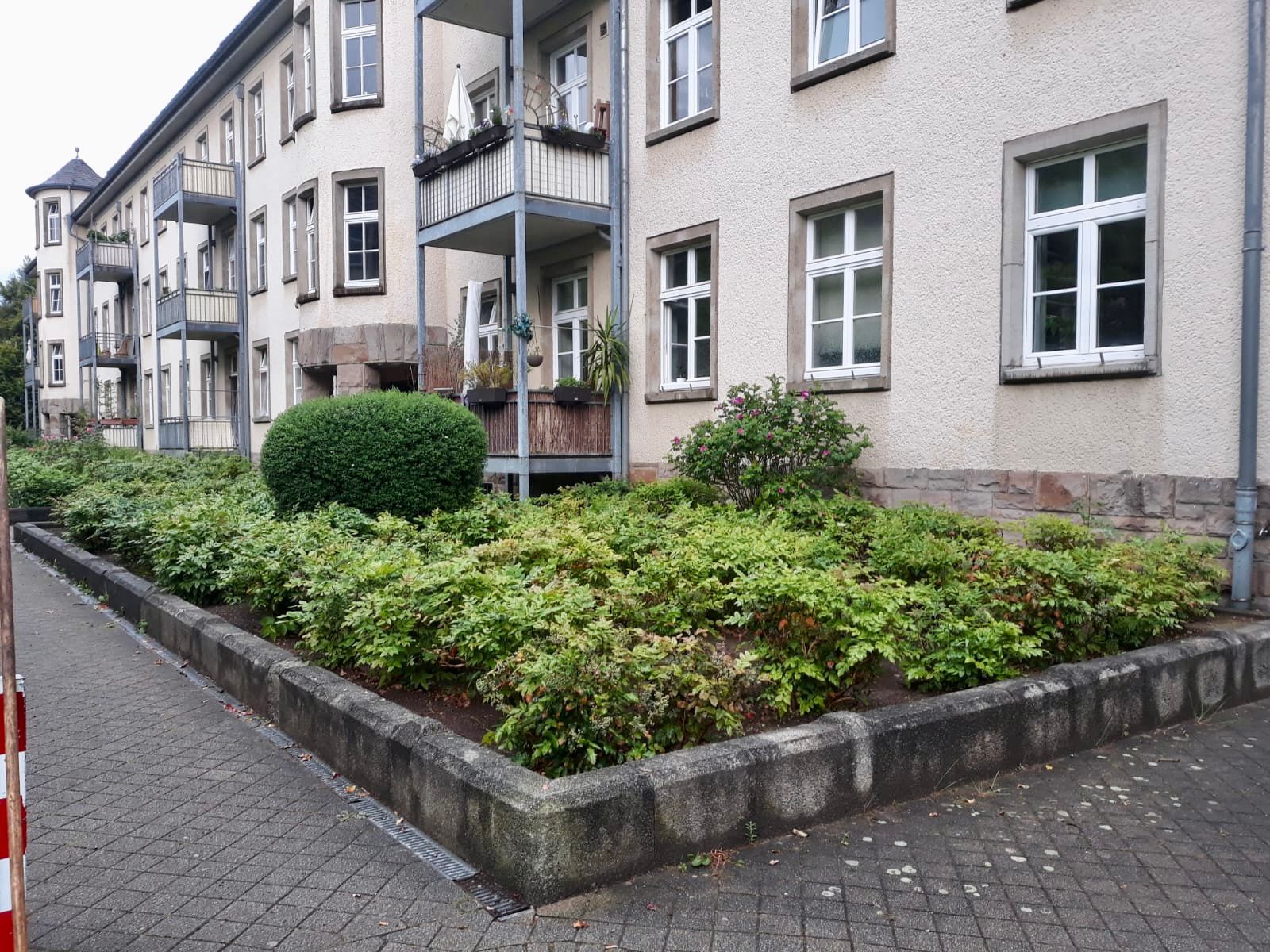 whatsapp image 2025 11 08 at 10.38.26 pm (1)