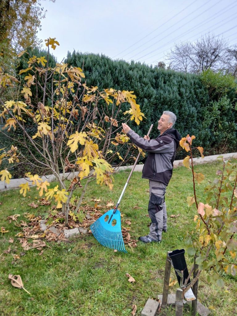 whatsapp image 2025 11 09 at 11.42.51 am